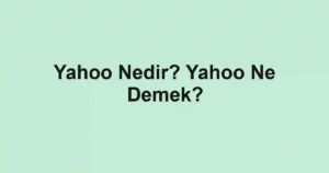 Yahoo Nedir? Yahoo Ne Demek?