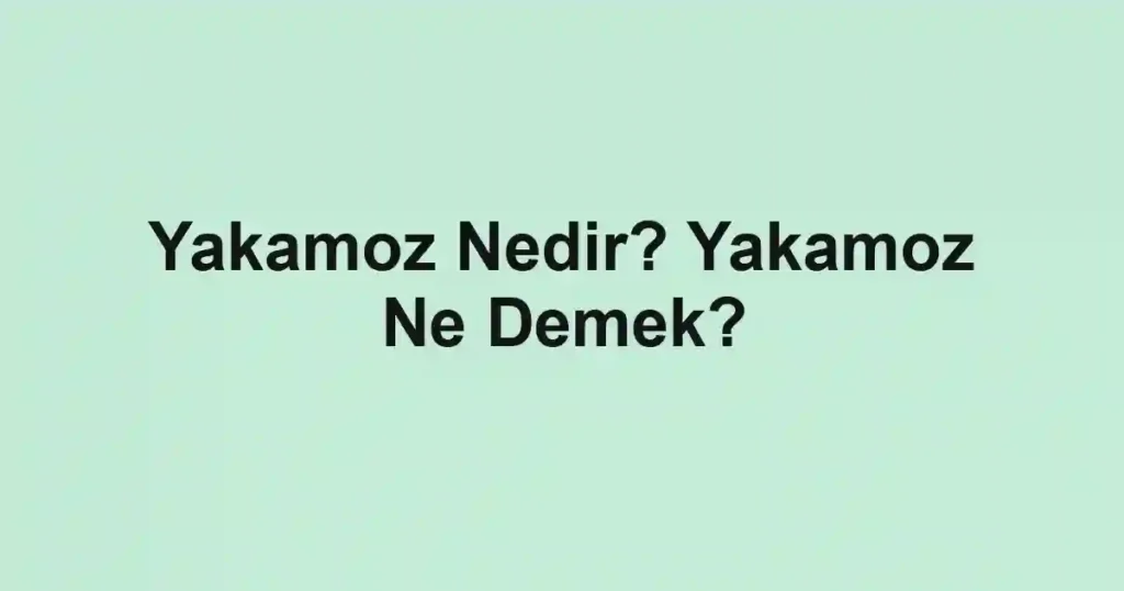 Yakamoz Nedir? Yakamoz Ne Demek?