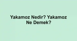 Yakamoz Nedir? Yakamoz Ne Demek?