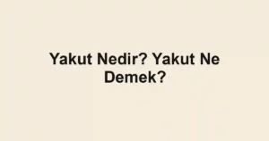 Yakut Nedir? Yakut Ne Demek?