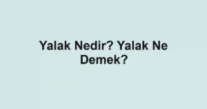 Yalak Nedir? Yalak Ne Demek?