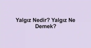 Yalgız Nedir? Yalgız Ne Demek?