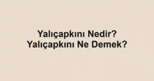 Yalıçapkını Nedir? Yalıçapkını Ne Demek?