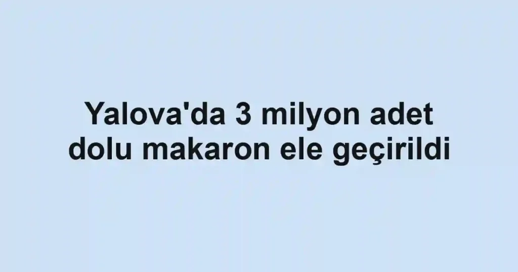 Yalova'da 3 milyon adet dolu makaron ele geçirildi