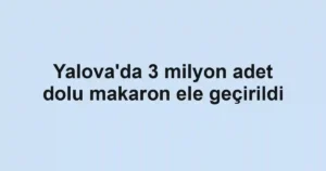 Yalova'da 3 milyon adet dolu makaron ele geçirildi