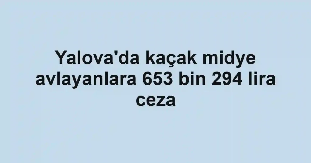 Yalova'da kaçak midye avlayanlara 653 bin 294 lira ceza