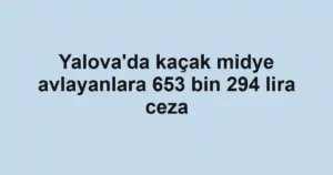Yalova'da kaçak midye avlayanlara 653 bin 294 lira ceza
