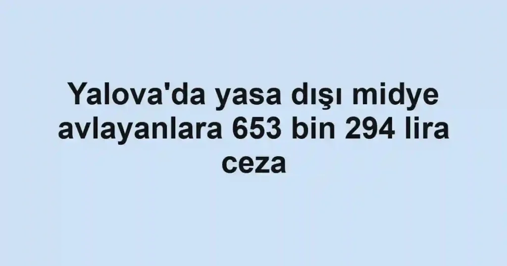 Yalova'da yasa dışı midye avlayanlara 653 bin 294 lira ceza