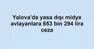 Yalova'da yasa dışı midye avlayanlara 653 bin 294 lira ceza
