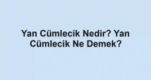 Yan Cümlecik Nedir? Yan Cümlecik Ne Demek?