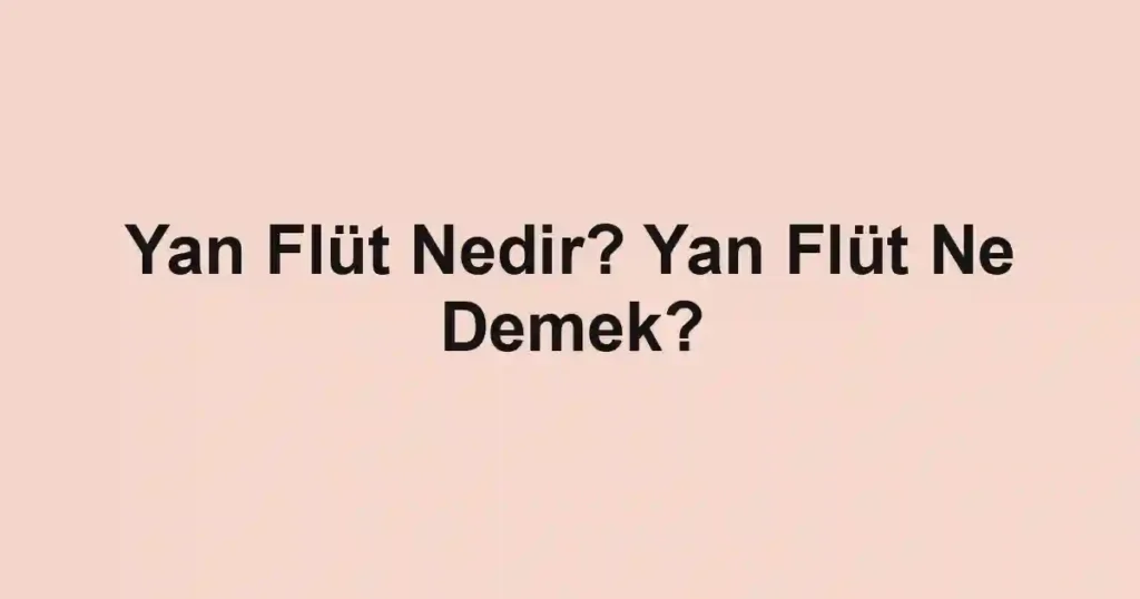 Yan Flüt Nedir? Yan Flüt Ne Demek?