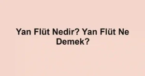 Yan Flüt Nedir? Yan Flüt Ne Demek?