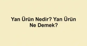 Yan Ürün Nedir? Yan Ürün Ne Demek?