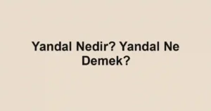 Yandal Nedir? Yandal Ne Demek?