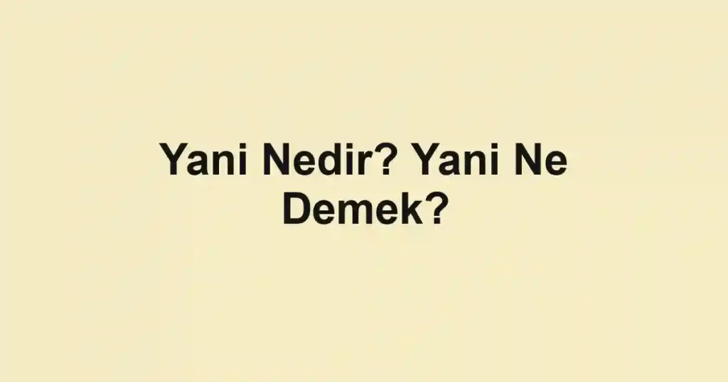 Yani Nedir? Yani Ne Demek?