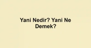 Yani Nedir? Yani Ne Demek?
