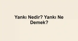 Yankı Nedir? Yankı Ne Demek?