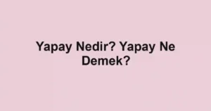 Yapay Nedir? Yapay Ne Demek?