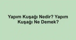 Yapım Kuşağı Nedir? Yapım Kuşağı Ne Demek?