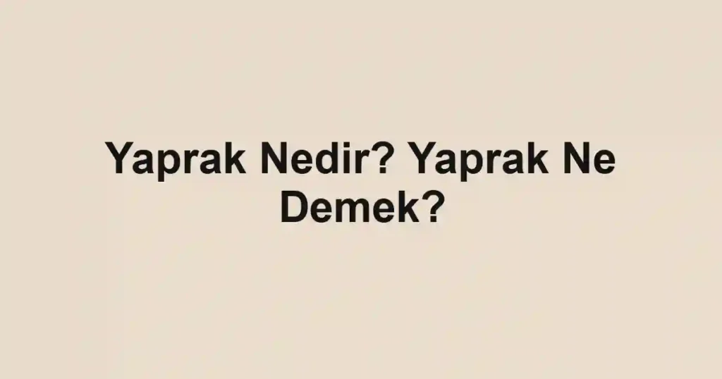 Yaprak Nedir? Yaprak Ne Demek?