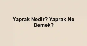 Yaprak Nedir? Yaprak Ne Demek?