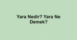 Yara Nedir? Yara Ne Demek?