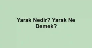 Yarak Nedir? Yarak Ne Demek?