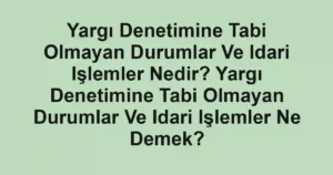Yargı Denetimine Tabi Olmayan Durumlar Ve Idari Işlemler Nedir? Yargı Denetimine Tabi Olmayan Durumlar Ve Idari Işlemler Ne Demek?