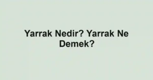 Yarrak Nedir? Yarrak Ne Demek?