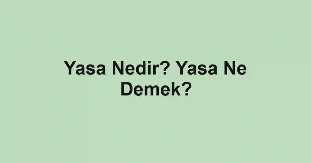 Yasa Nedir? Yasa Ne Demek?