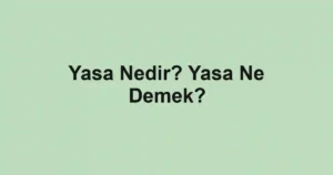 Yasa Nedir? Yasa Ne Demek?