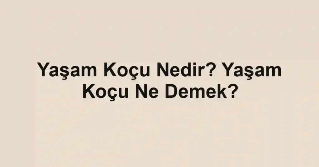 Yaşam Koçu Nedir? Yaşam Koçu Ne Demek?