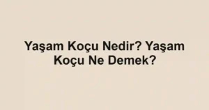 Yaşam Koçu Nedir? Yaşam Koçu Ne Demek?