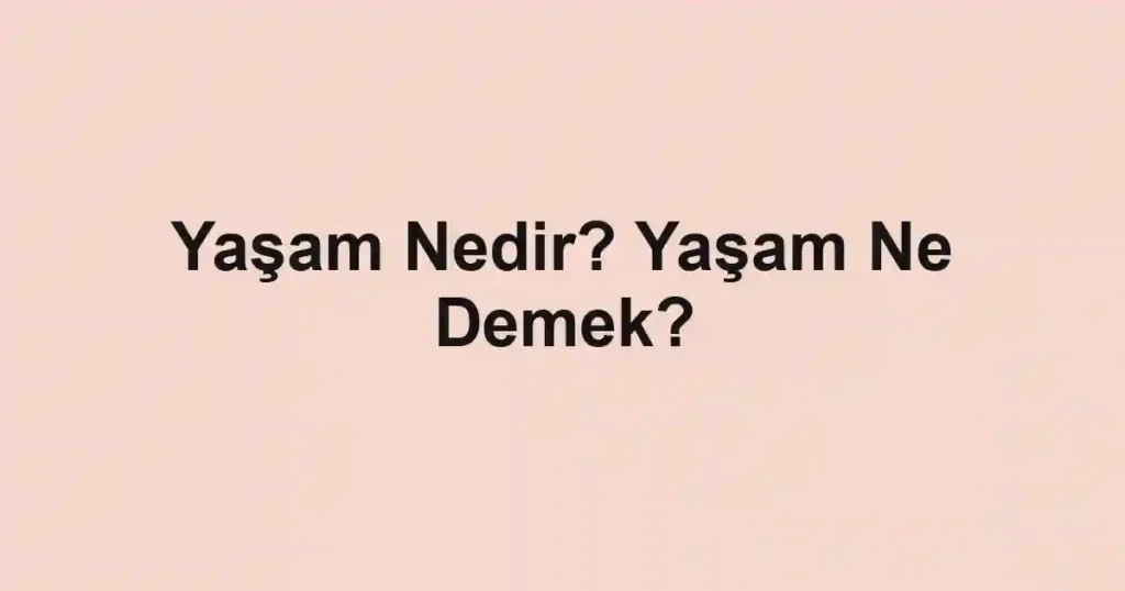 Yaşam Nedir? Yaşam Ne Demek?