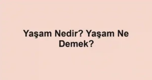 Yaşam Nedir? Yaşam Ne Demek?