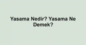 Yasama Nedir? Yasama Ne Demek?