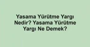 Yasama Yürütme Yargı Nedir? Yasama Yürütme Yargı Ne Demek?