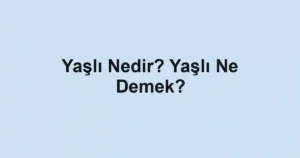 Yaşlı Nedir? Yaşlı Ne Demek?