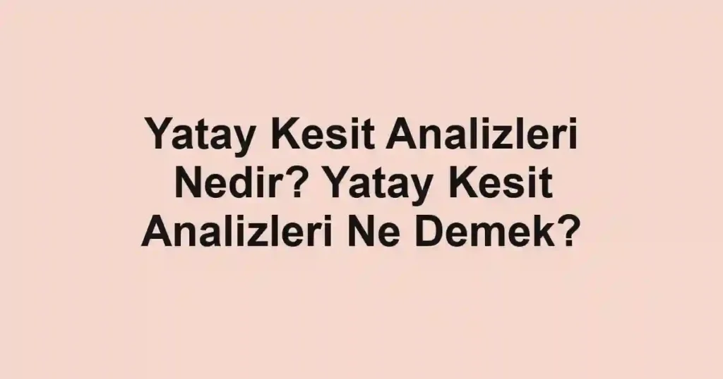Yatay Kesit Analizleri Nedir? Yatay Kesit Analizleri Ne Demek?
