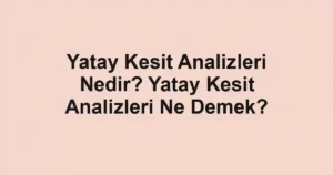 Yatay Kesit Analizleri Nedir? Yatay Kesit Analizleri Ne Demek?