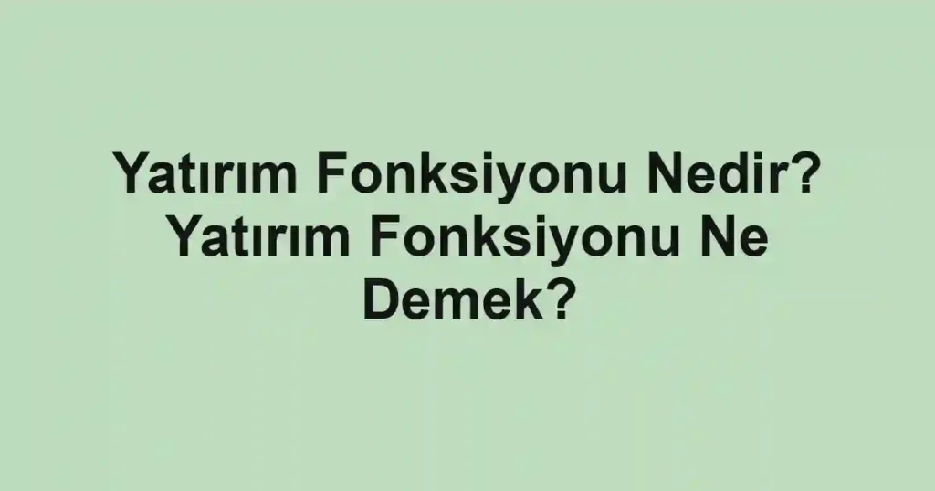 Yatırım Fonksiyonu Nedir? Yatırım Fonksiyonu Ne Demek?