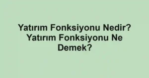 Yatırım Fonksiyonu Nedir? Yatırım Fonksiyonu Ne Demek?