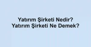 Yatırım Şirketi Nedir? Yatırım Şirketi Ne Demek?