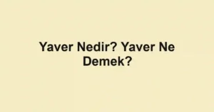Yaver Nedir? Yaver Ne Demek?