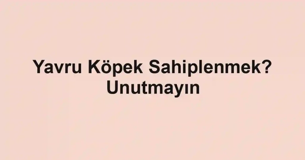 Yavru Köpek Sahiplenmek? Unutmayın