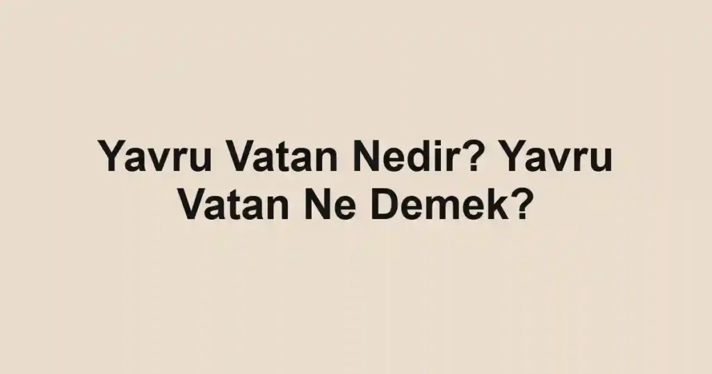Yavru Vatan Nedir? Yavru Vatan Ne Demek?