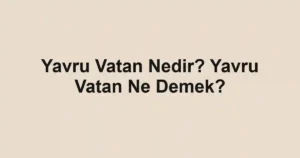 Yavru Vatan Nedir? Yavru Vatan Ne Demek?