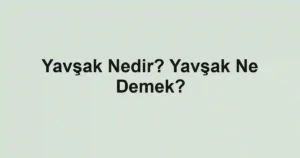 Yavşak Nedir? Yavşak Ne Demek?