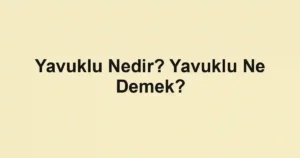 Yavuklu Nedir? Yavuklu Ne Demek?