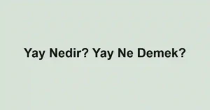 Yay Nedir? Yay Ne Demek?